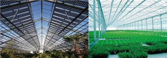 现代化智能温室建设为什么采用阳光板